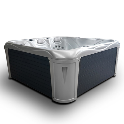 Acrylmassage Out Door Spa de Badkuip Hete Ton van 220V 240V 50hz 60hz