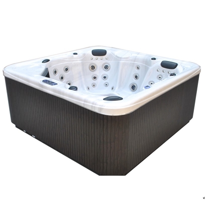 Villa 6 Persoonsmassage Bathtub Acrylic Spa Hete Tonnen met Ozonator