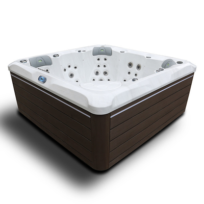 In het groot Acryl 6 Openlucht Hydro de Massage Hete Tonnen van de Persoonsfamilie